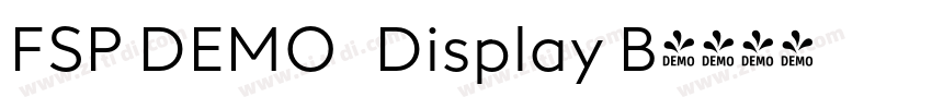 FSP DEMO   Display B字体转换
